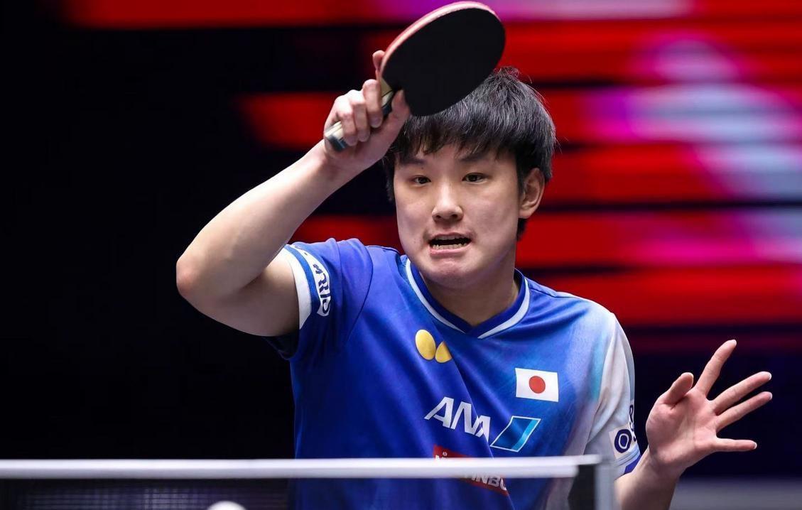 瑞典队轻取葡萄牙队，张本智和状态火热的简单介绍