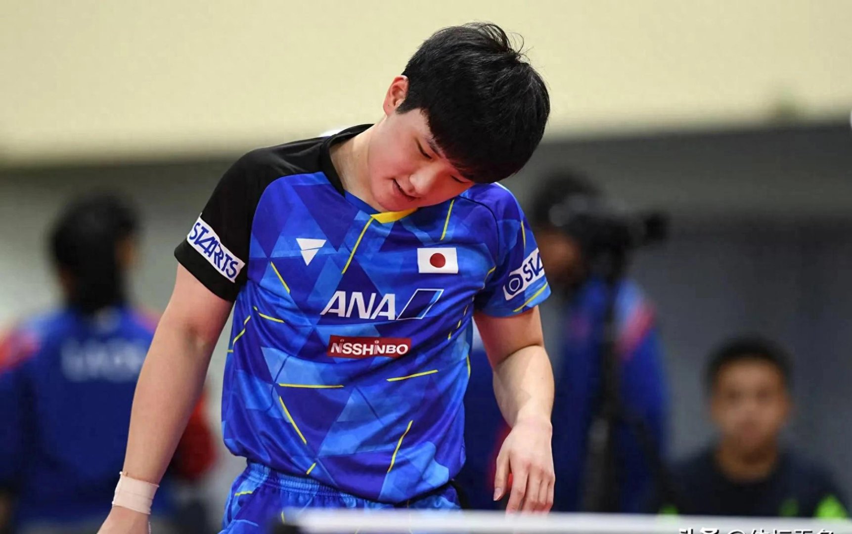 韩国队险胜日本队,张本智和高光表现 韩国队险胜日本队,张本智和高光表现